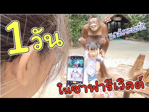 1 วัน ในซาฟารีเวิลด์! โดนลิงแกล้ง!!! | แม่ปูเป้ เฌอแตม Tam Story