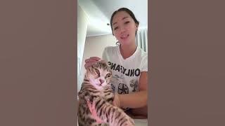 I give up thirst traps I post cat content only now ✨No cats were harmed in this video xx • • •