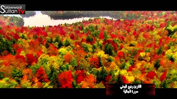 سورة الجاثية القارئ وديع اليمني I قناة سلطان العواد