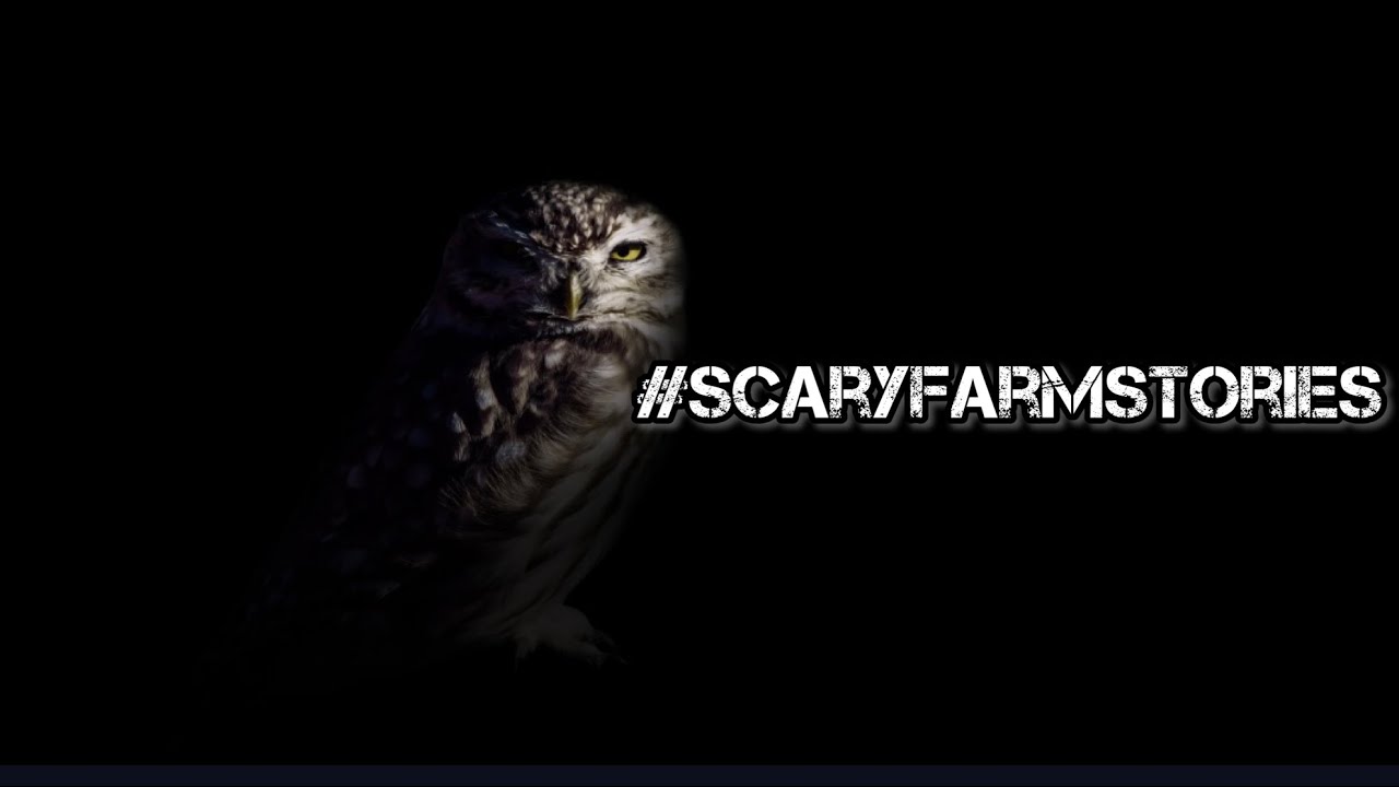 ScaryFarmStories// Open Collaboration