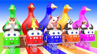 5 Giant Duck, Monkey, Piglet, chicken, dog, cat, lion, Sheep, Transfiguration funny animal 2023