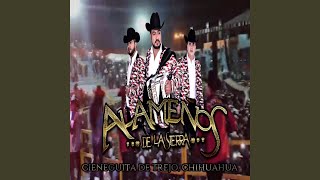 Video thumbnail of "Alameños de la Sierra - Pisando Espinas"