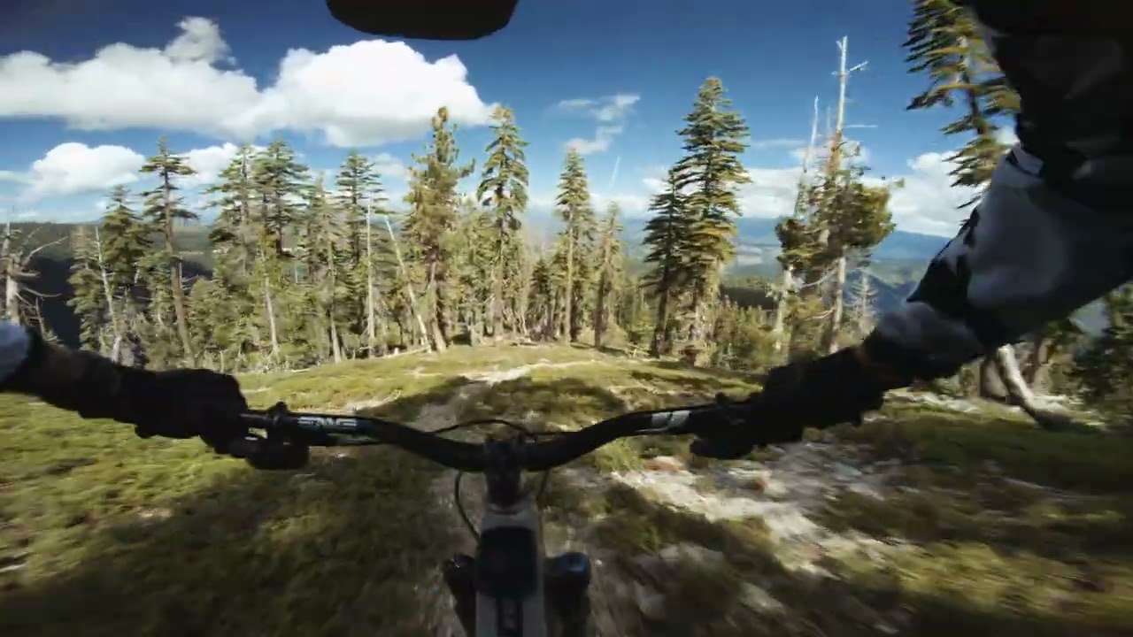 Buzzard's Roost Ridge  |  Lost Sierra