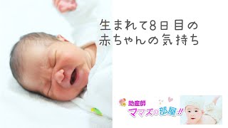 生後８日目のぼくが泣いている理由