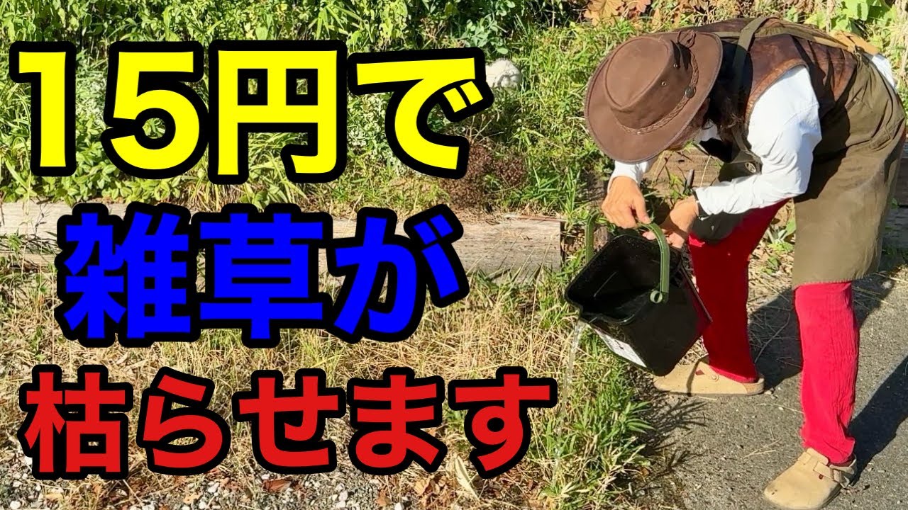 【目からウロコ】〇〇をかけるだけで雑草を簡単に枯らせます 【園芸超人カーメン君】