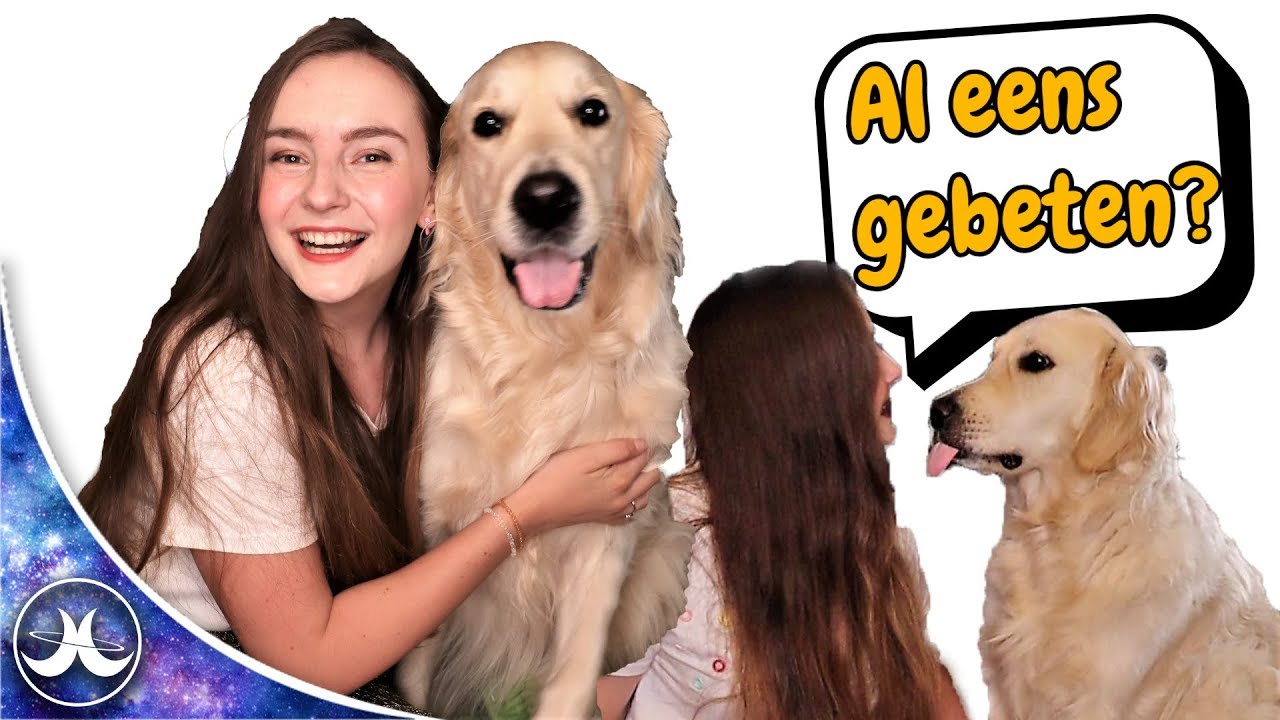 Q&A met mijn hond , Lars | JustJade