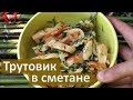 🍳 Трутовик серно-желтый в сметане | Сбор трутовика