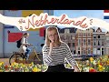 What I learned about the NETHERLANDS | Studying abroad