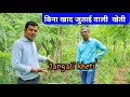 बिना जुताई के खेती जंगली खेती ऋषि कर्षि कैसे करे | How To Do Wild Farming | Junglee Kheti