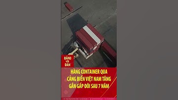 Hàng container qua cảng biển Việt Nam tăng gần gấp đôi sau 7 năm #shorts