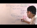 เซลล์ Cell