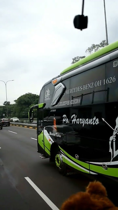 Saling sapa Bus PALALA dan Po Haryanto MOKODO #shorts #busmania