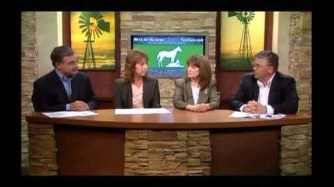 Limb Conformation at birth.avi