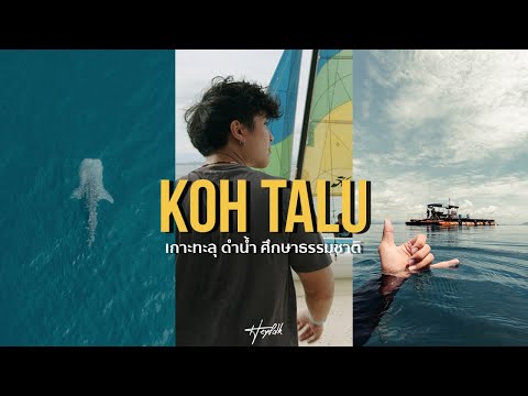 Vlog เกาะทะลุ 3 วัน 2 คืน เที่ยวดำน้ำ ศึกษาธรรมชาติ l Hey!! Folk