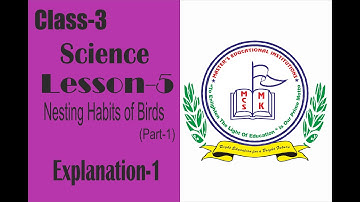 CLASS :3 Science LESSON 5 - Nesting Habits of Birds (Part-1)