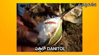 #smitomo #dqnitolinsecticide #fenpopathrin10