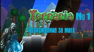 Добыча водяной стрелы | Terraria за мага