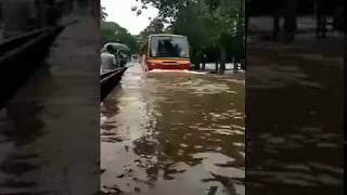 KSRTC KING