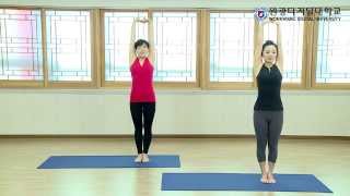 20141126 국민요가 연속동작