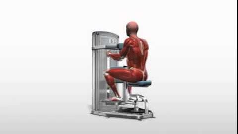 Exercise Videos- Torso Rotation - Machine - YouTube.flv