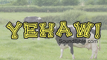 Yee Haw Redneck Sound Effect