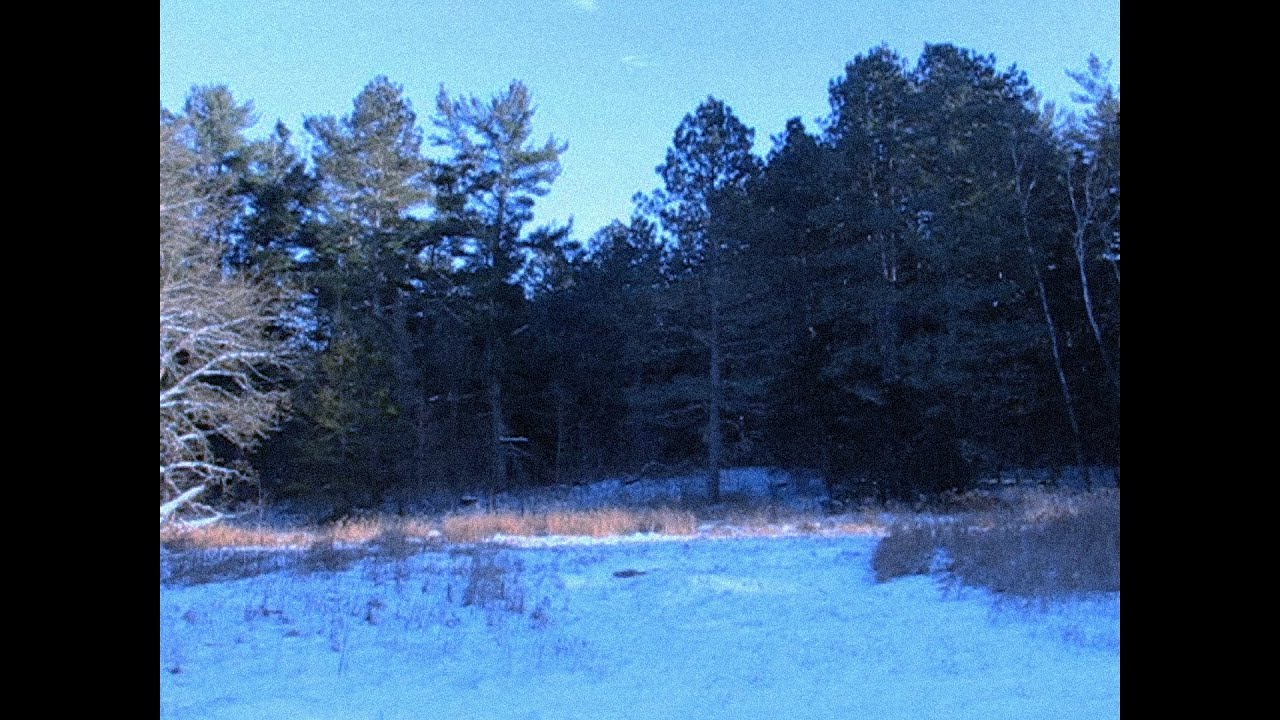 ✦ free glaive type beat 