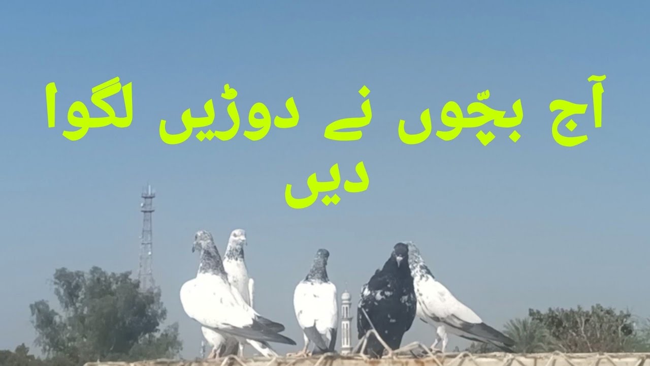 آج نئے بچّوں نے دوڑیں لگوا دیں 😱