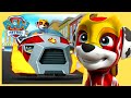 Marshall Saves Penguins in the Jungle and More | PAW Patrol | Cartoons for Kids Compilation