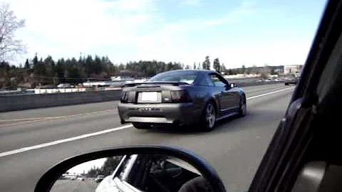 2003 Mustang GT w/ Off Road H and PYPES Violator Catback