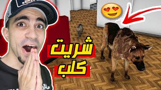 محاكي اليوتيوبر #18 : اخيرا اشتريت كلب رهيب Streamer Life Simulator !!