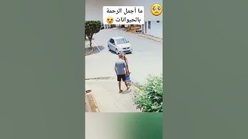 #المصحف #اكسبلور #الورقات #duet #دويتو #الغلا #سورة #المراه #baby #cute