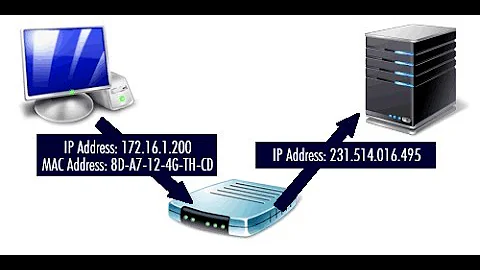 what is IP address and MAC address?