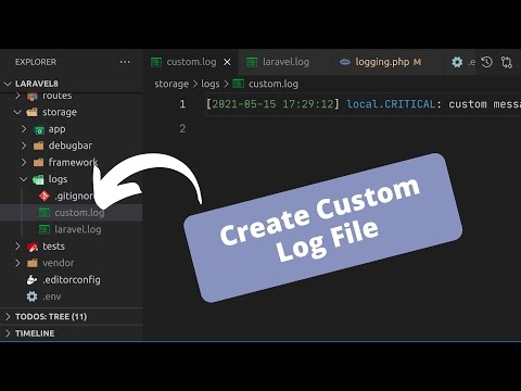 Create Your Own Log Files In Laravel and Know About Different Levels Of Logging