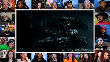 (Xenomorph) Alien kills Predators | Reaction Mashup | #avp