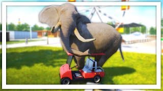 Zookeeper Simulator But All Of The Animals Are Insane