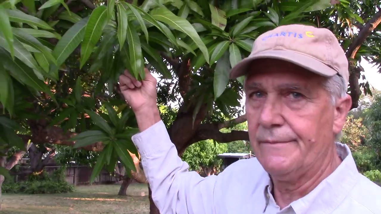 Tropical Paradise Grove Fruit Tree Tour