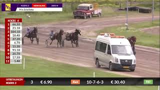Vidéo de la course PMU PRIX ZOLA BOKO