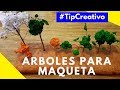 ÁRBOLES PARA MAQUETAS ESCOLARES | PASO A PASO| ARQUITECTURA