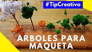 ÁRBOLES PARA MAQUETAS ESCOLARES | PASO A PASO| ARQUITECTURA