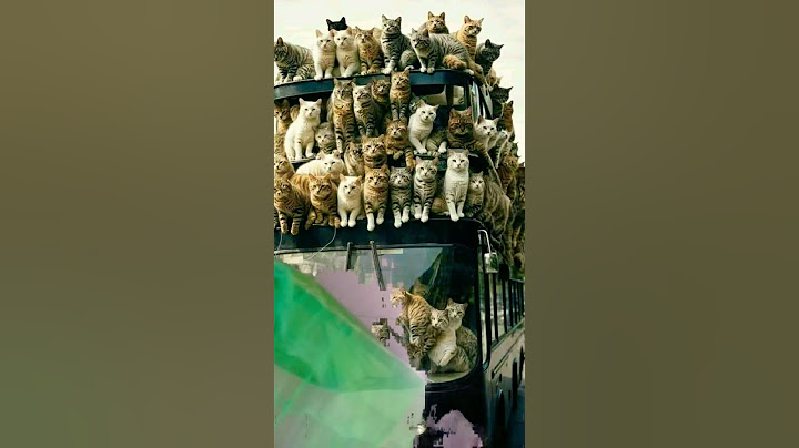 අපි යනවා ට්‍රිප් එකක්