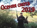 Утиная охота осень 2019  Утка налетает табунами!!!