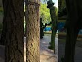 Парк Дубрава.                              #отдых #парк #лето #видео #подписка #лайк