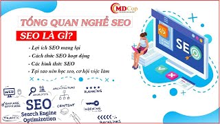 Tổng quan nghề seo, seo là gì, ích lợi seo mang lại, các hình thức seo