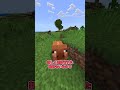 シンプルなサバイバルができるシード値3選!【マイクラ統合版】 #マイクラ #神シード #マインクラフト #マインクラフト統合版 #神シード値