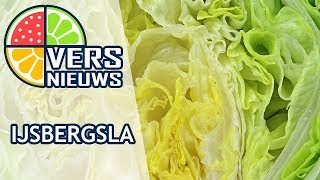 Versnieuws - Ijsbergsla Uit Middenmeer