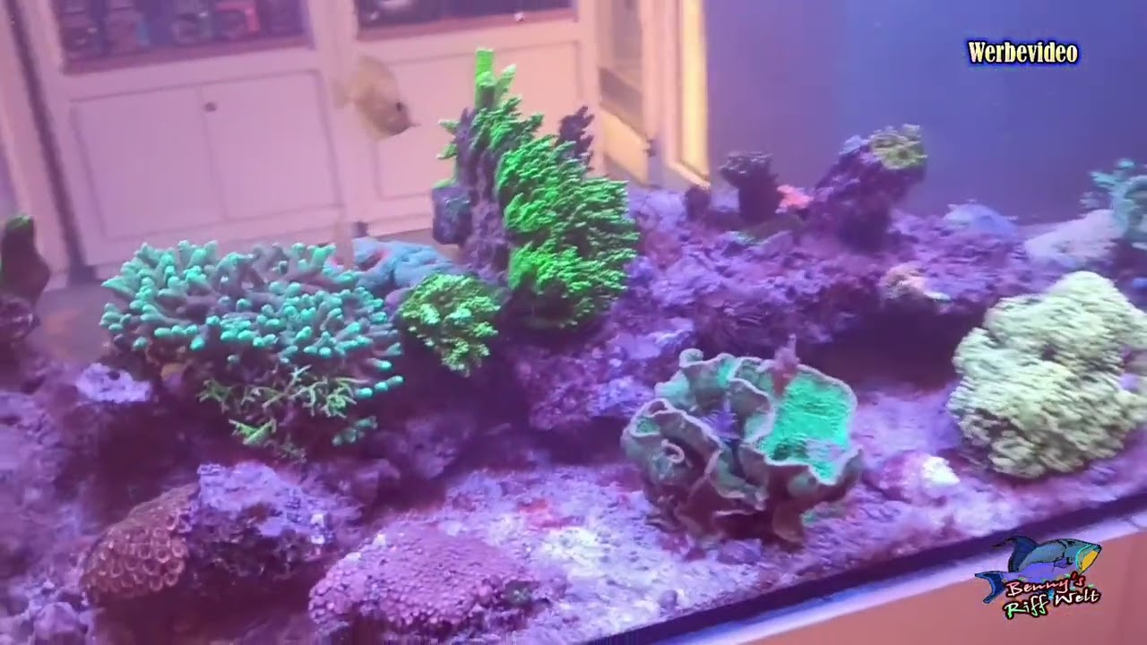 Besuch bei Wunschkoralle am 14. Februar 2026