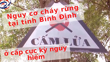 Nguy cơ cháy rừng tại tỉnh Bình Định ở cấp cực kỳ nguy hiểm | Tin Tức 247