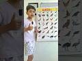 Let's learn birds Name #kidslearning