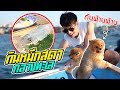 ออกทะเลกับฟ่านๆ กินปลาหมึกสดๆ กลางทะเล (ซาชิมิ!!!) | ออกล่ากิน EP.4