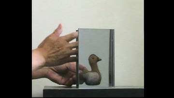 可視化と不可視化装置  Cloaking and Visualization Device